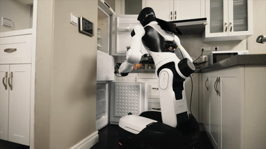 Whole Body Control.gif