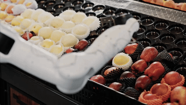 Free-form data collection ensures comprehensive generalization .gif