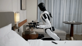 1792723902536443.gif